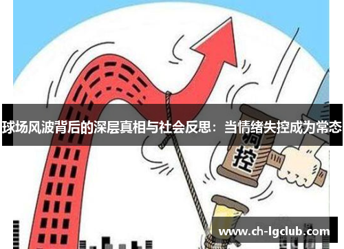 球场风波背后的深层真相与社会反思：当情绪失控成为常态