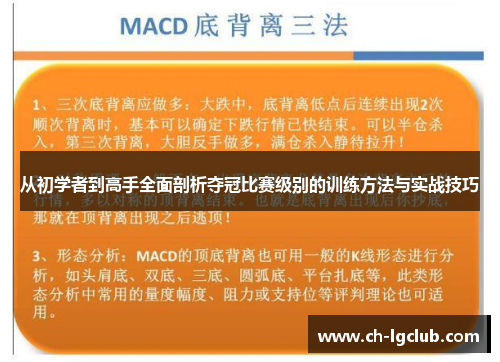 从初学者到高手全面剖析夺冠比赛级别的训练方法与实战技巧