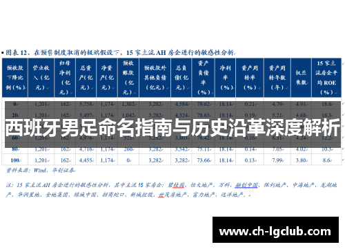 西班牙男足命名指南与历史沿革深度解析