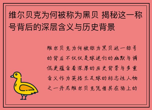维尔贝克为何被称为黑贝 揭秘这一称号背后的深层含义与历史背景 维尔贝克为何被称为黑贝 揭秘这一称号背后的深层含义与历史背景