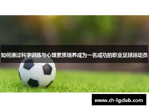 如何通过科学训练与心理素质培养成为一名成功的职业足球运动员