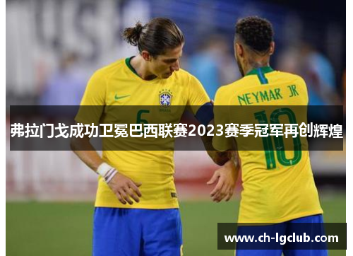 弗拉门戈成功卫冕巴西联赛2023赛季冠军再创辉煌