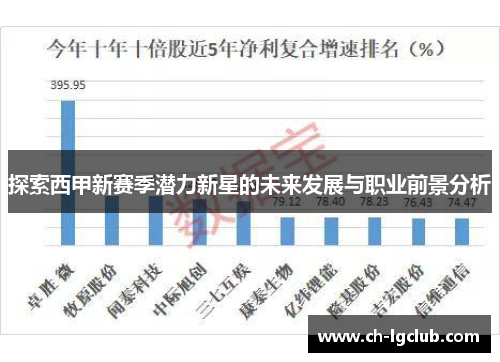 探索西甲新赛季潜力新星的未来发展与职业前景分析